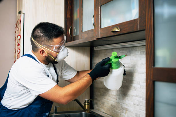 Best Affordable Exterminators  in Cresson, TX