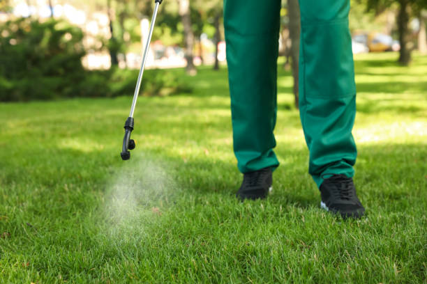 Professional Pest Control in Cresson, TX